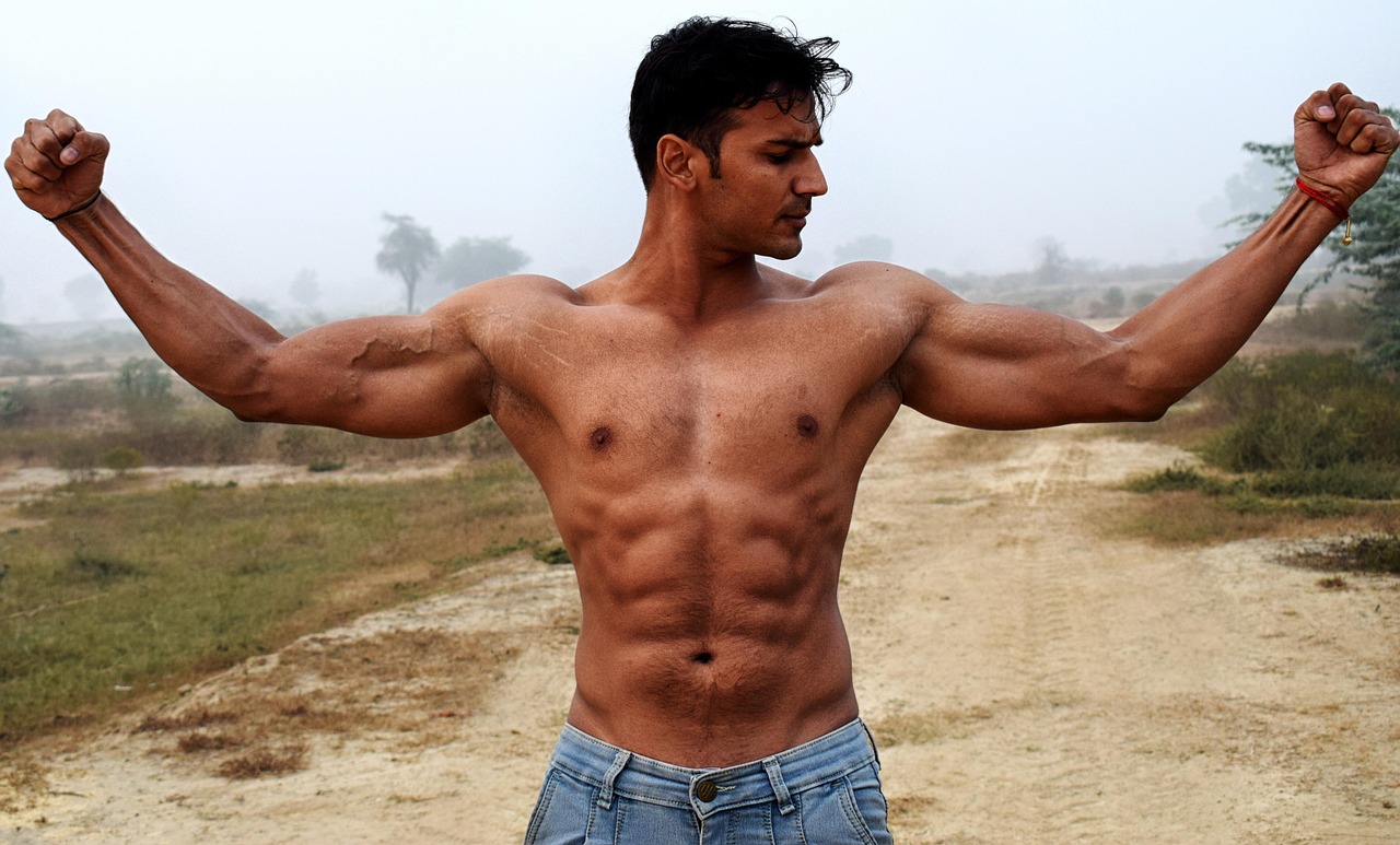 bodybuilder muscular physique bodybuilder muscular physique