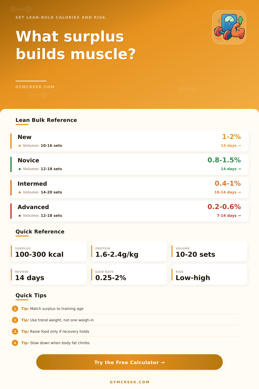 Calorie Surplus for Muscle Gain Calculator