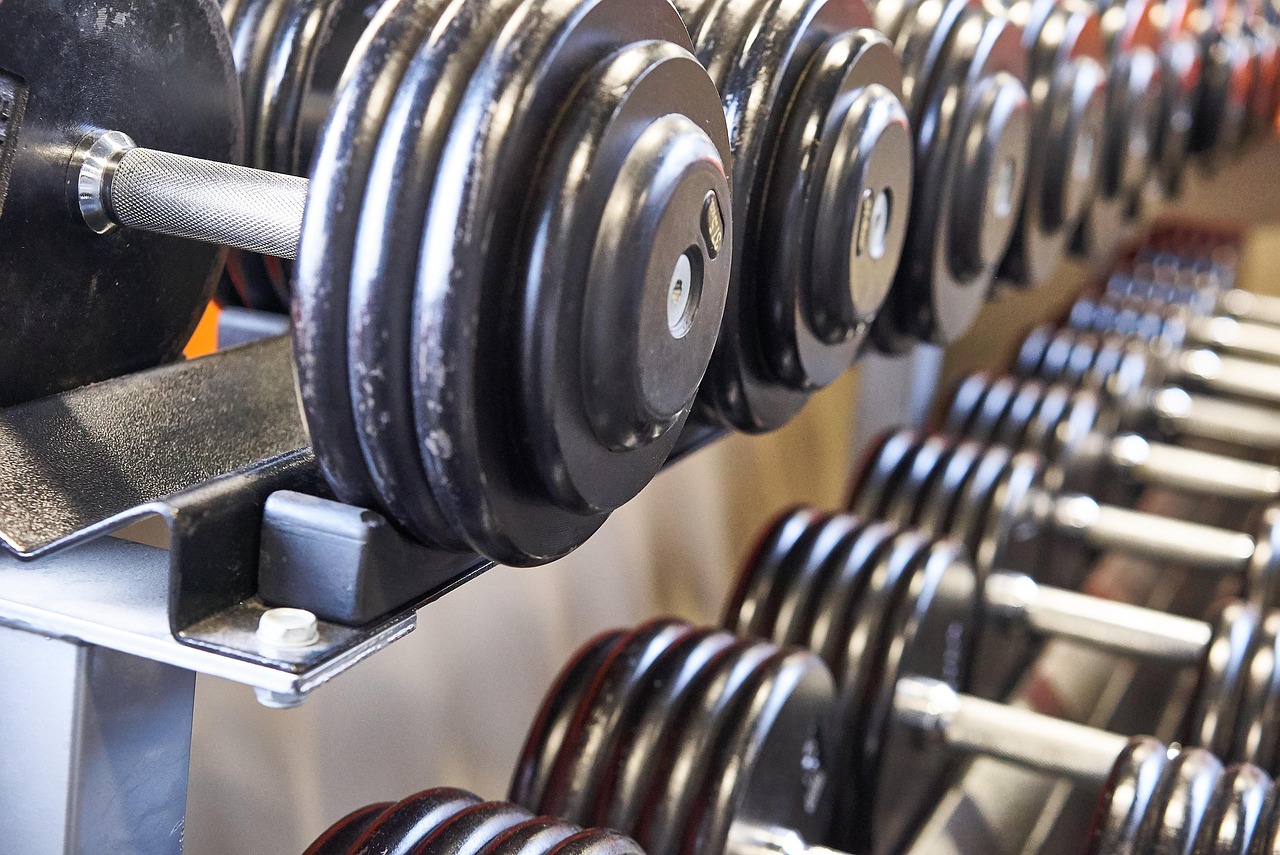 dumbbell weights bench press dumbbell weights bench press