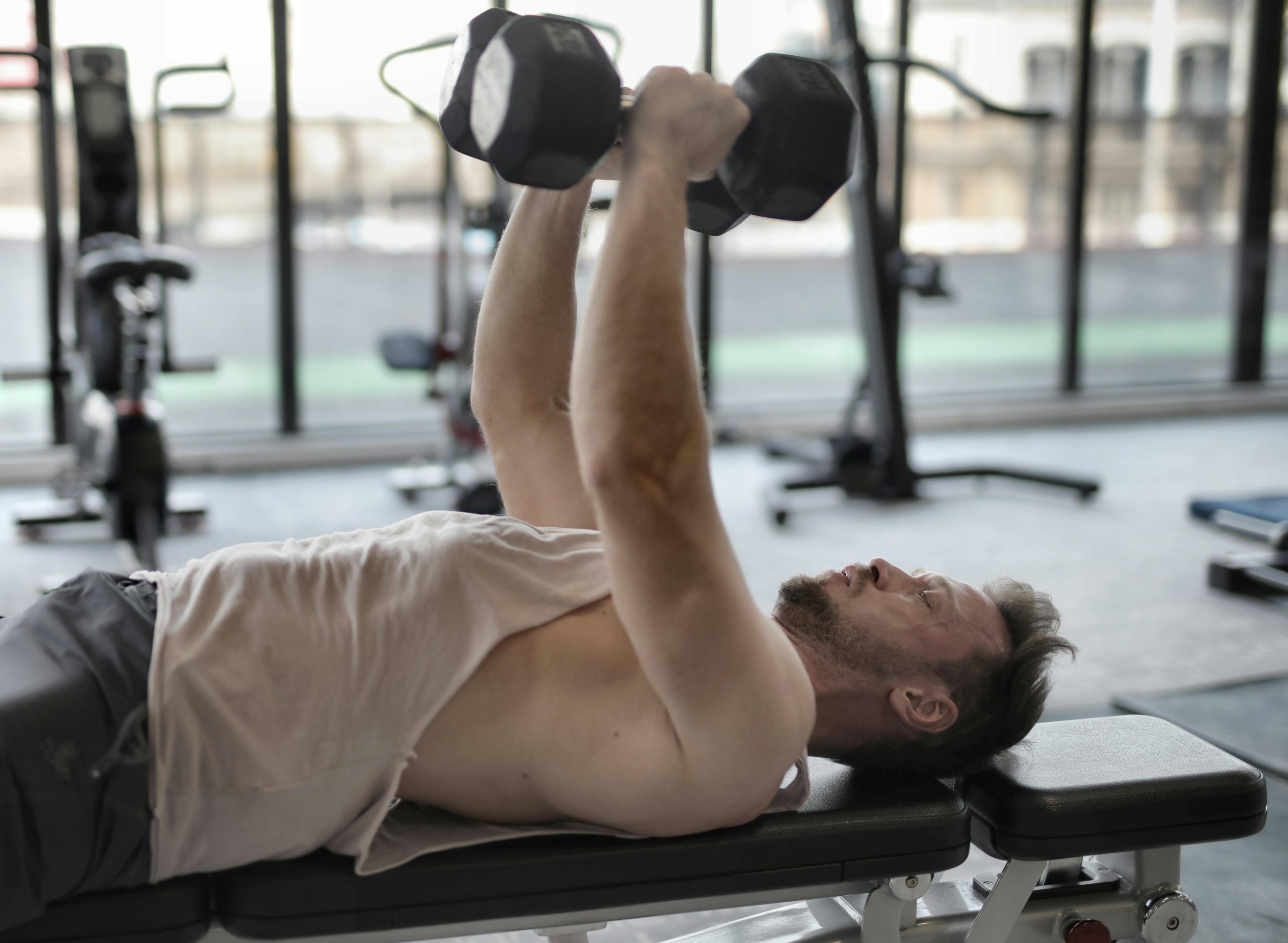 dumbbells and barbells dumbbells and barbells