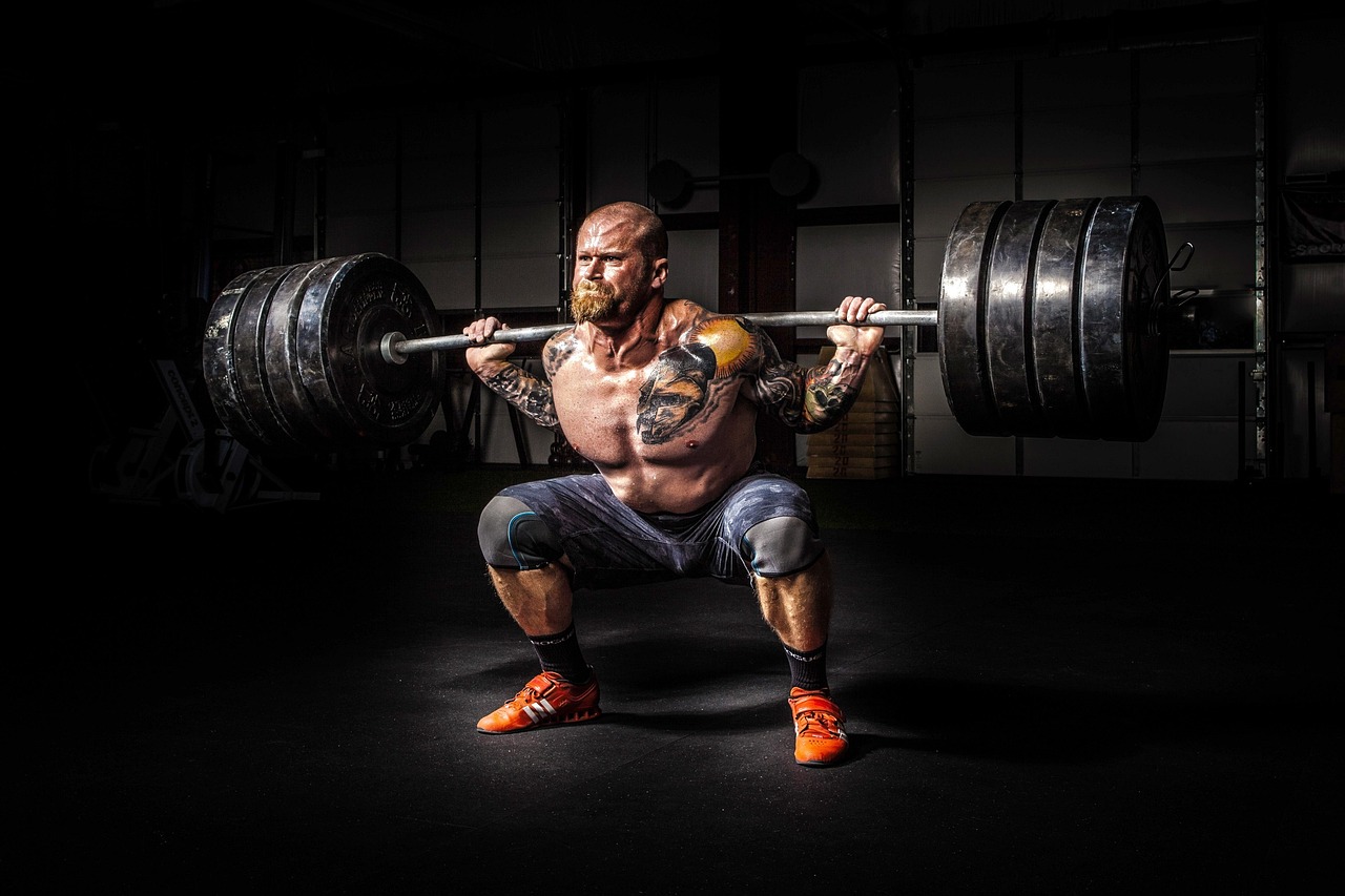 fitness training gym fitness training gym