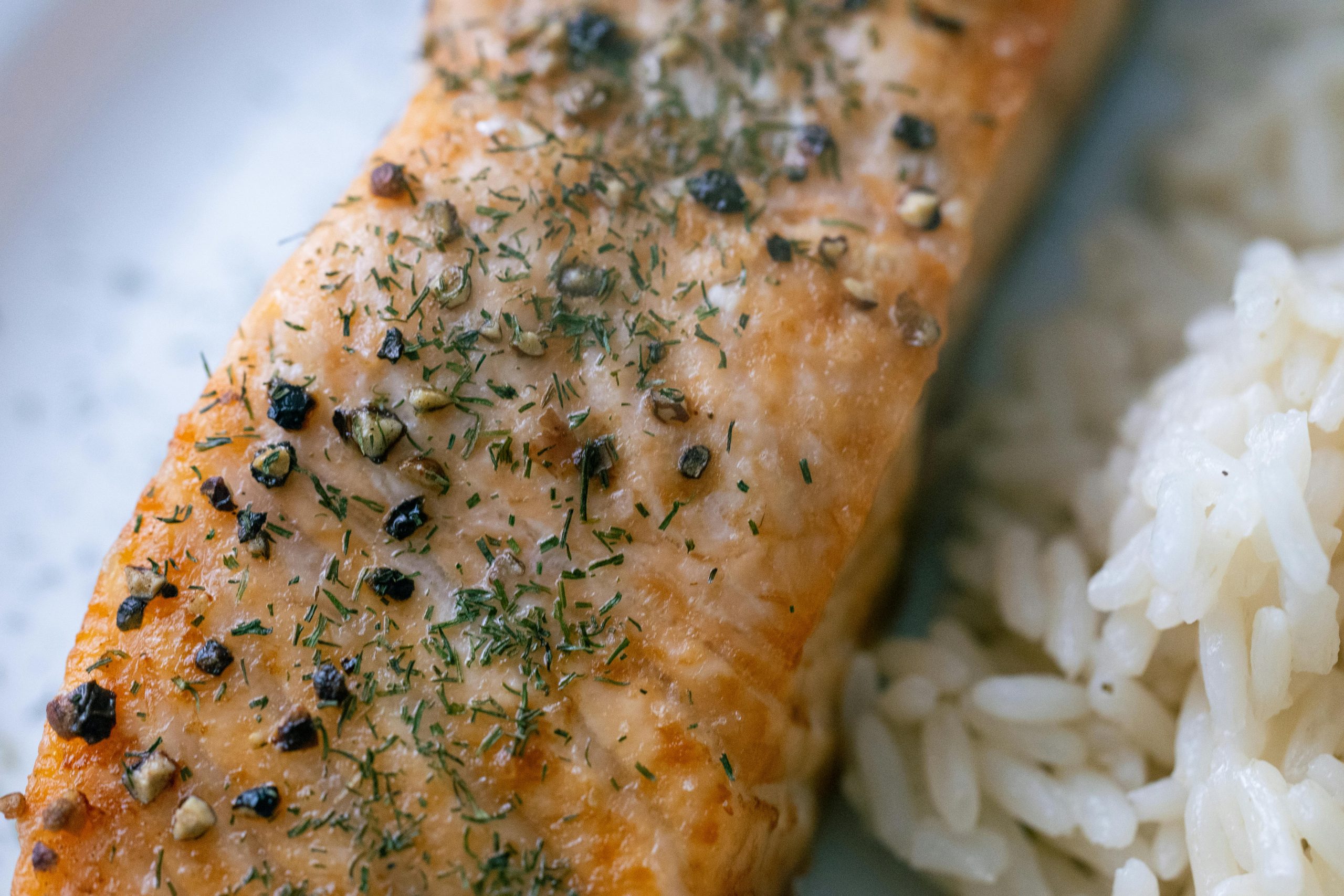 high protein food high protein food