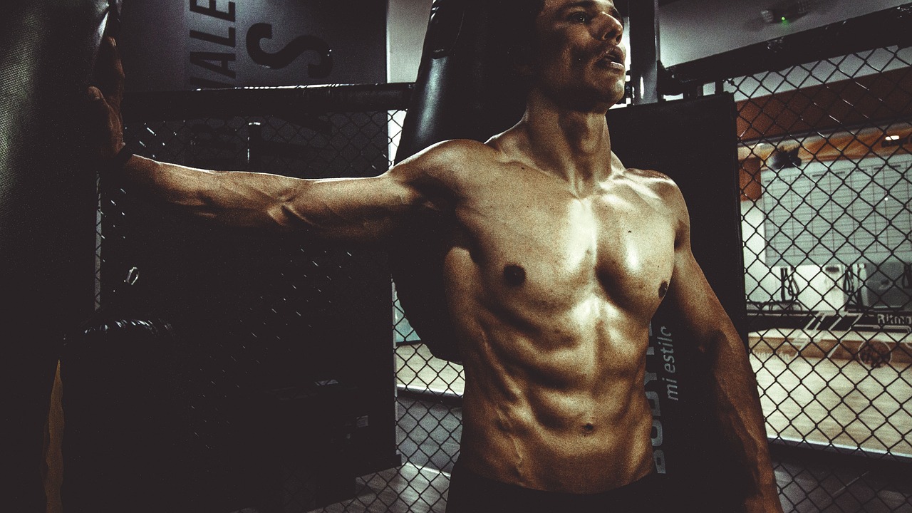 muscular athlete physique muscular athlete physique