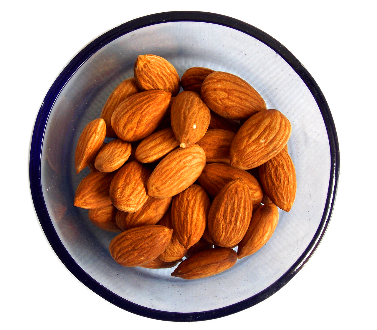 protein fat carbohydrates food protein fat carbohydrates food