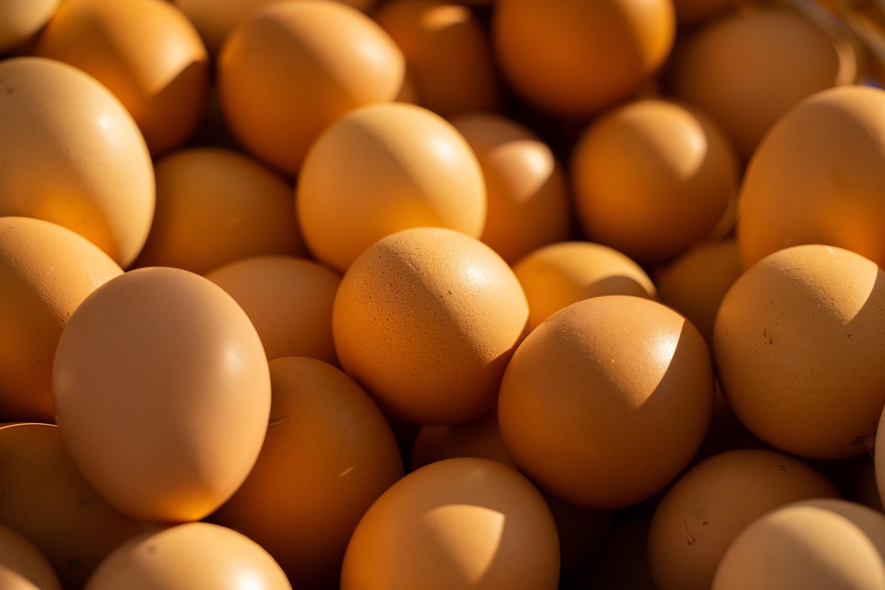 protein food healthy protein food healthy