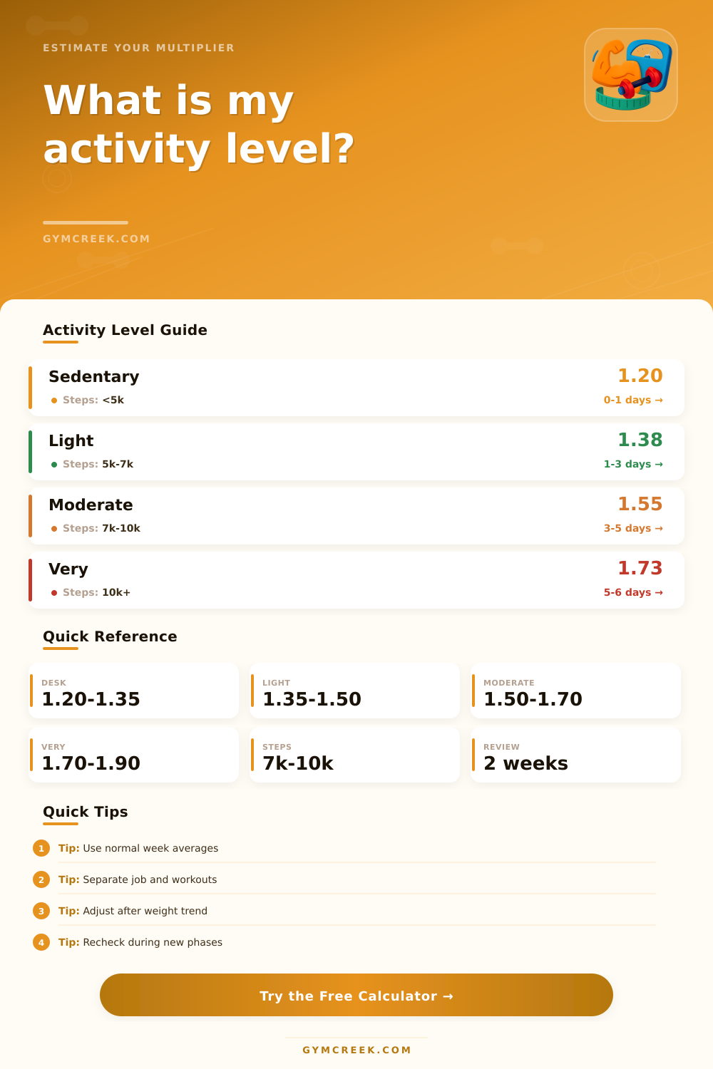 Activity Level Calculator