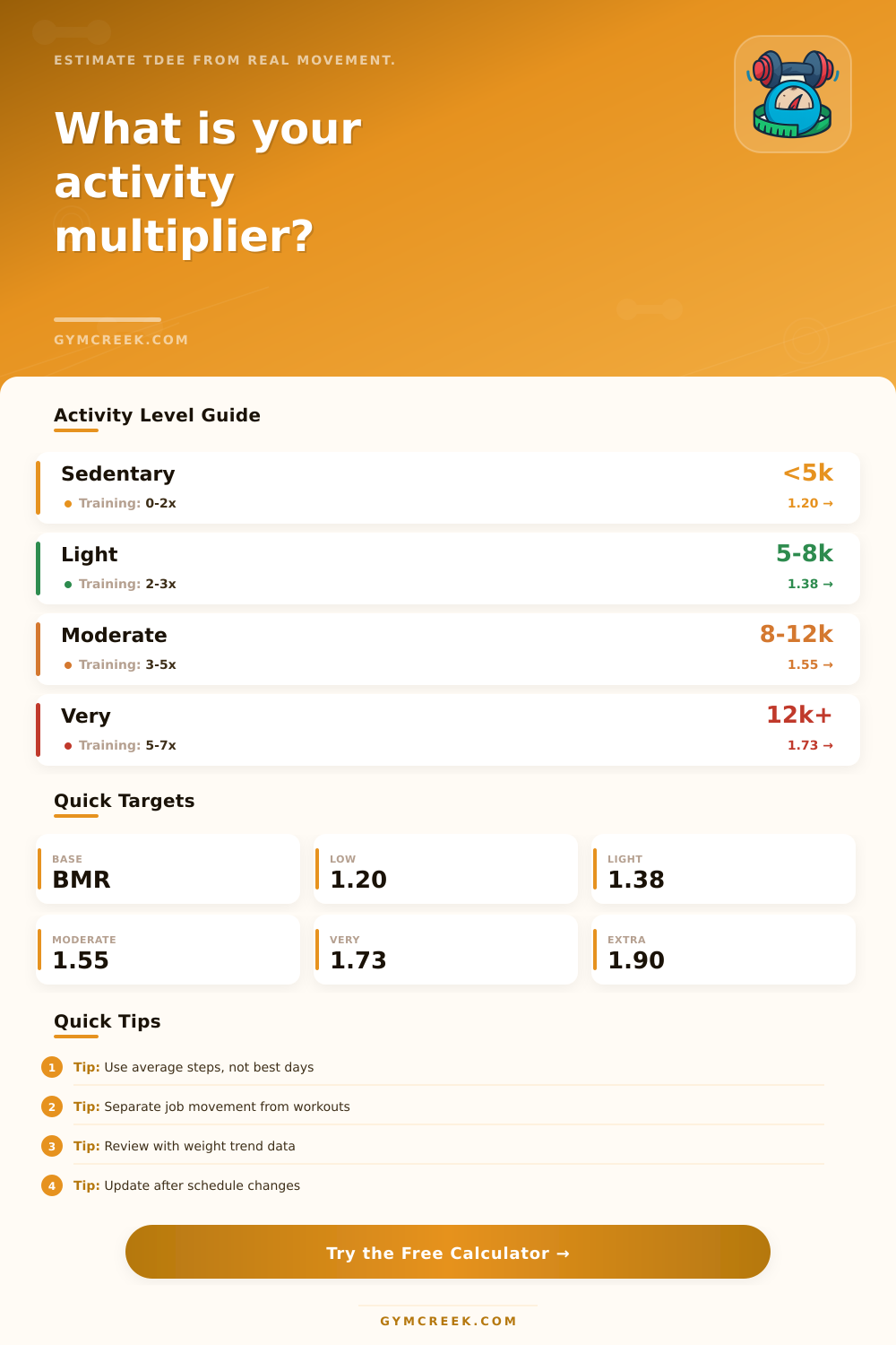 Activity Multiplier Calculator