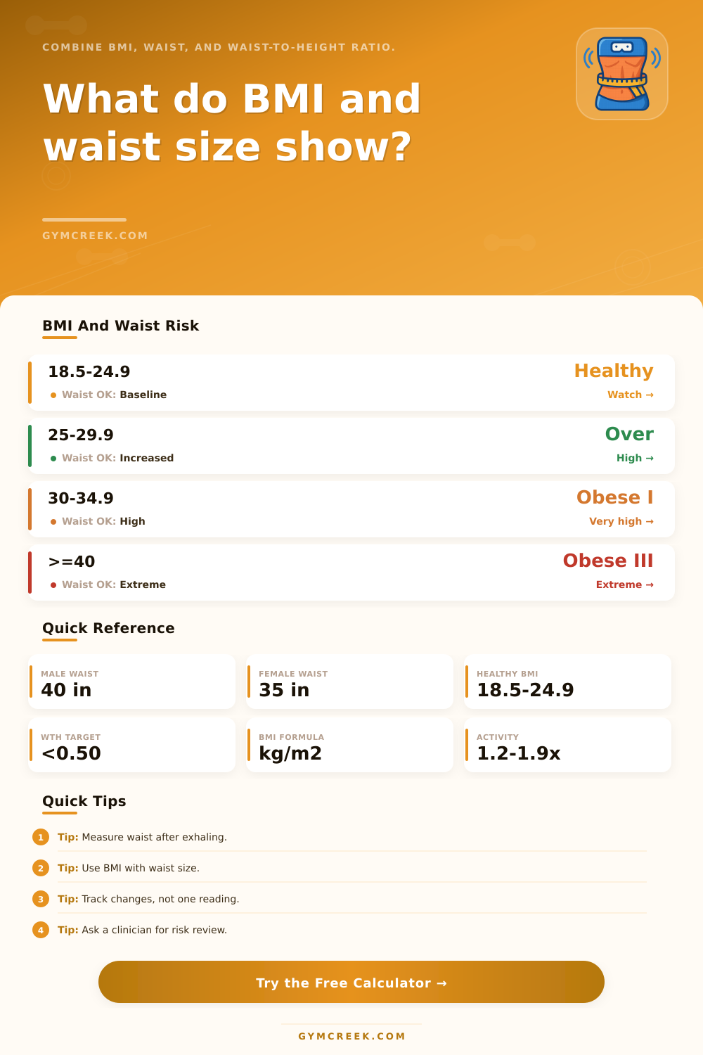BMI Waist Circumference Calculator