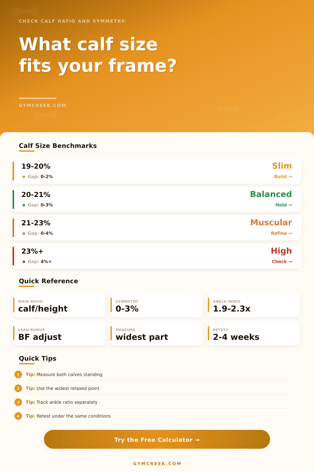 Calf Muscle Size Calculator