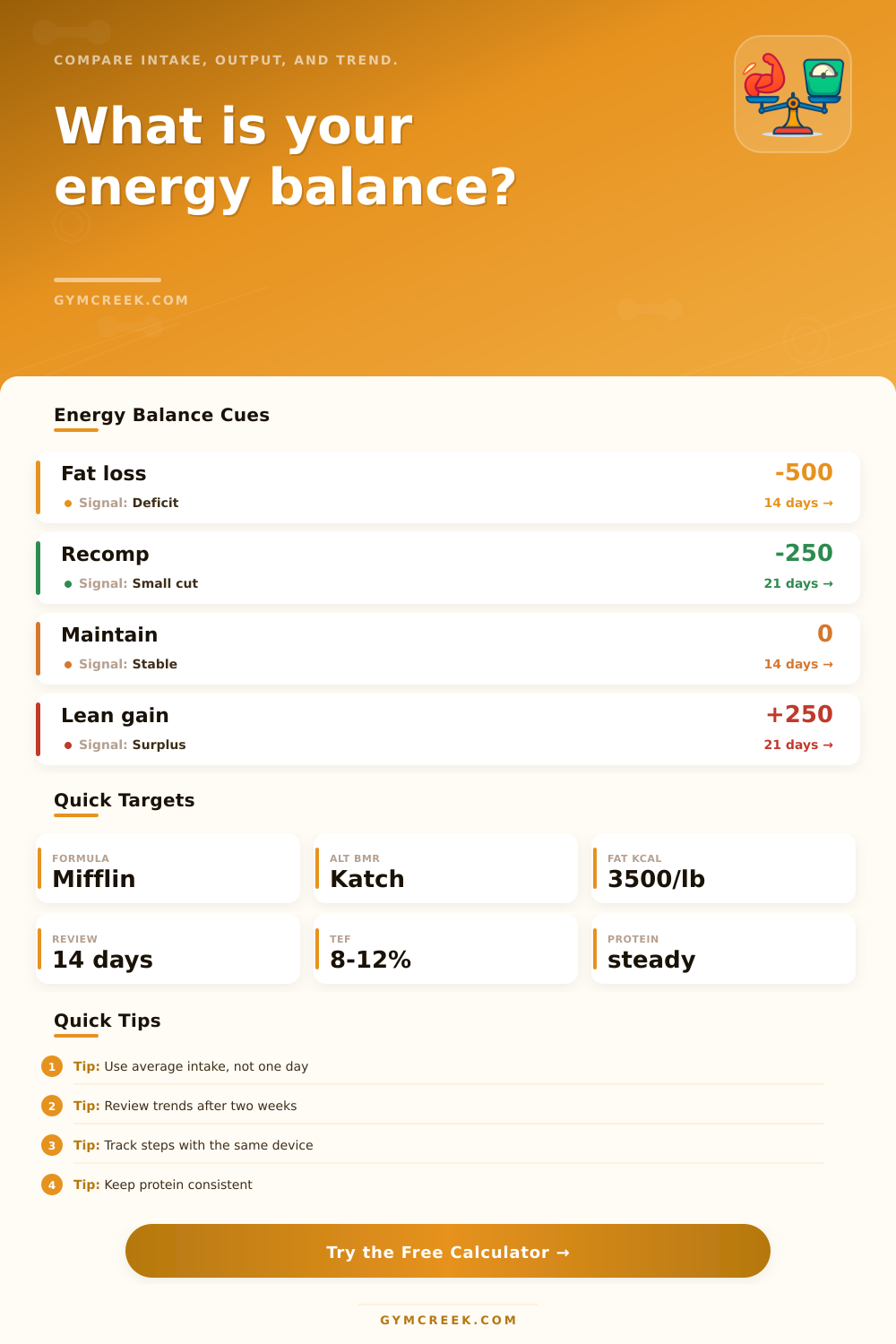 Energy Balance Calculator