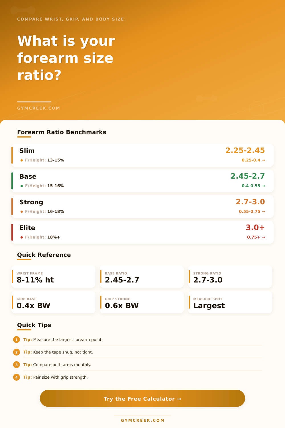 Forearm Size Calculator