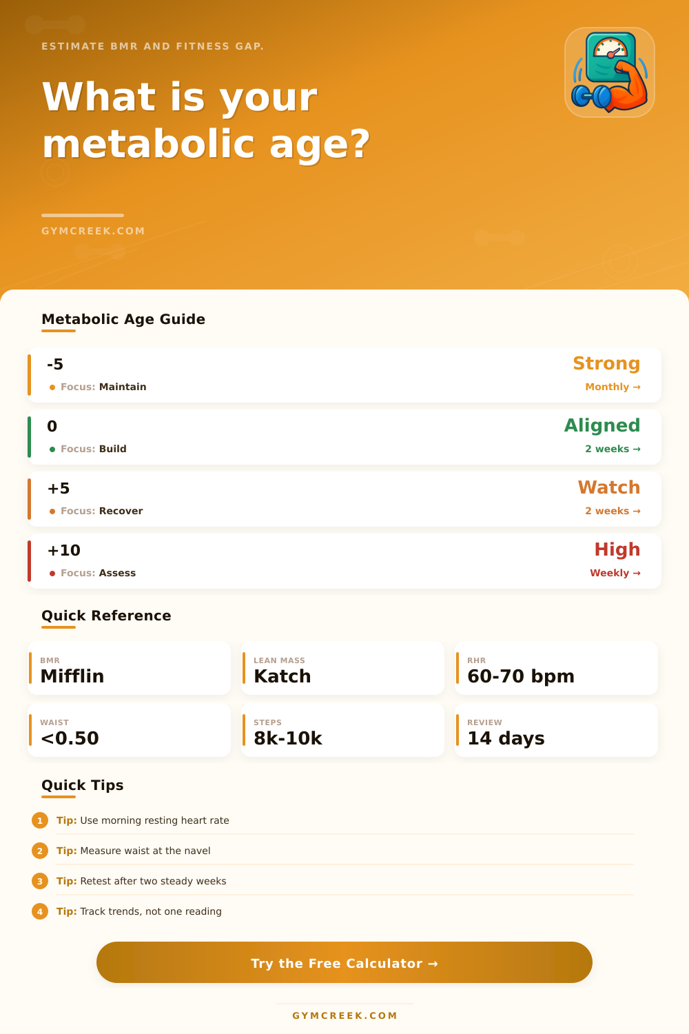 Metabolic Age Calculator