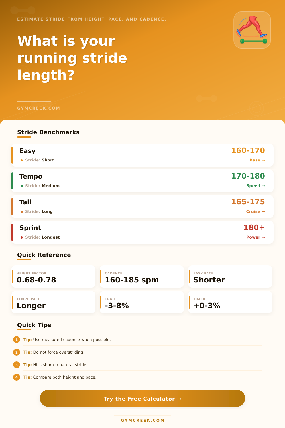 Running Stride Length Calculator by Height