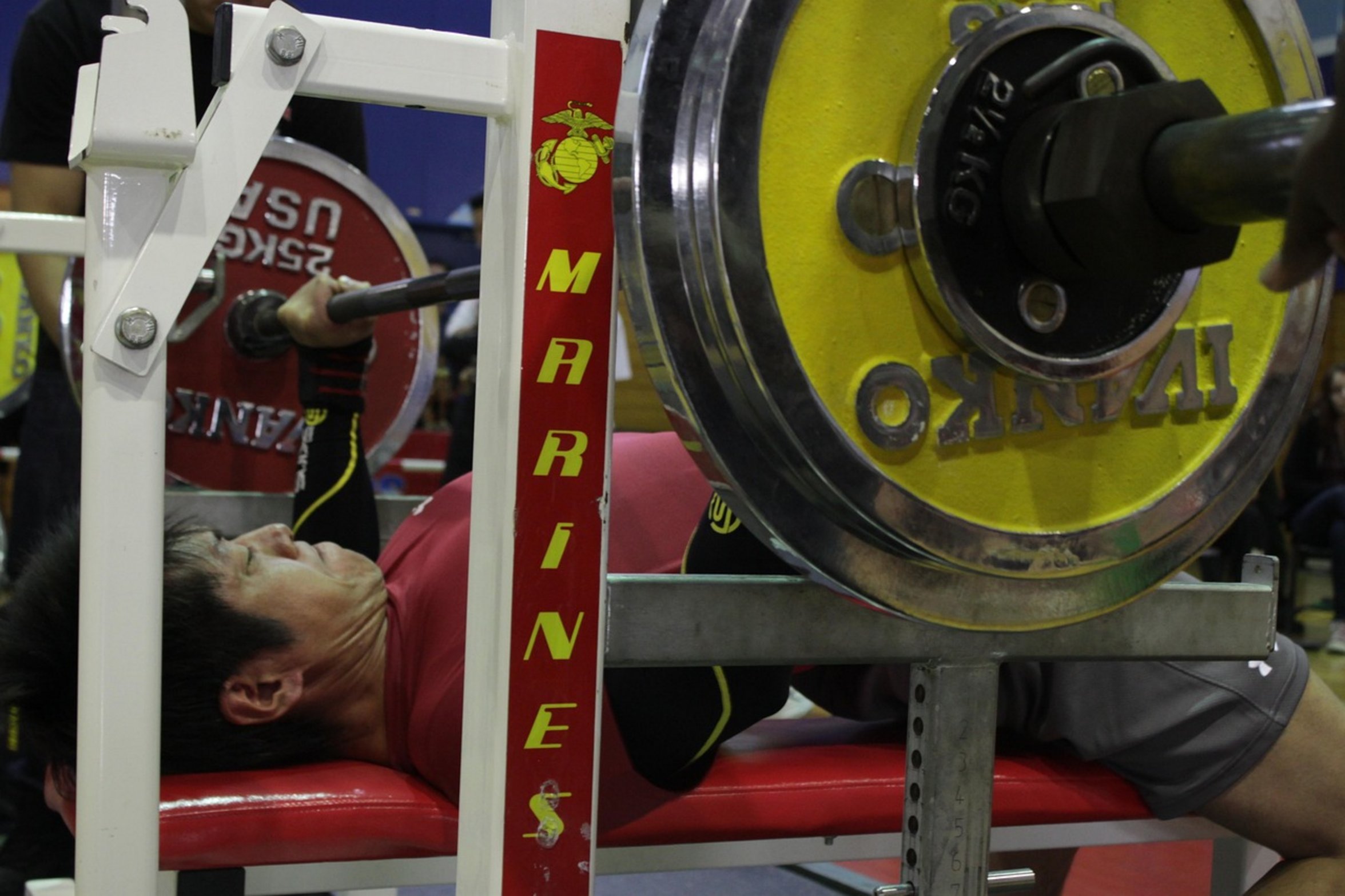 barbell dumbbell bench press barbell dumbbell bench press