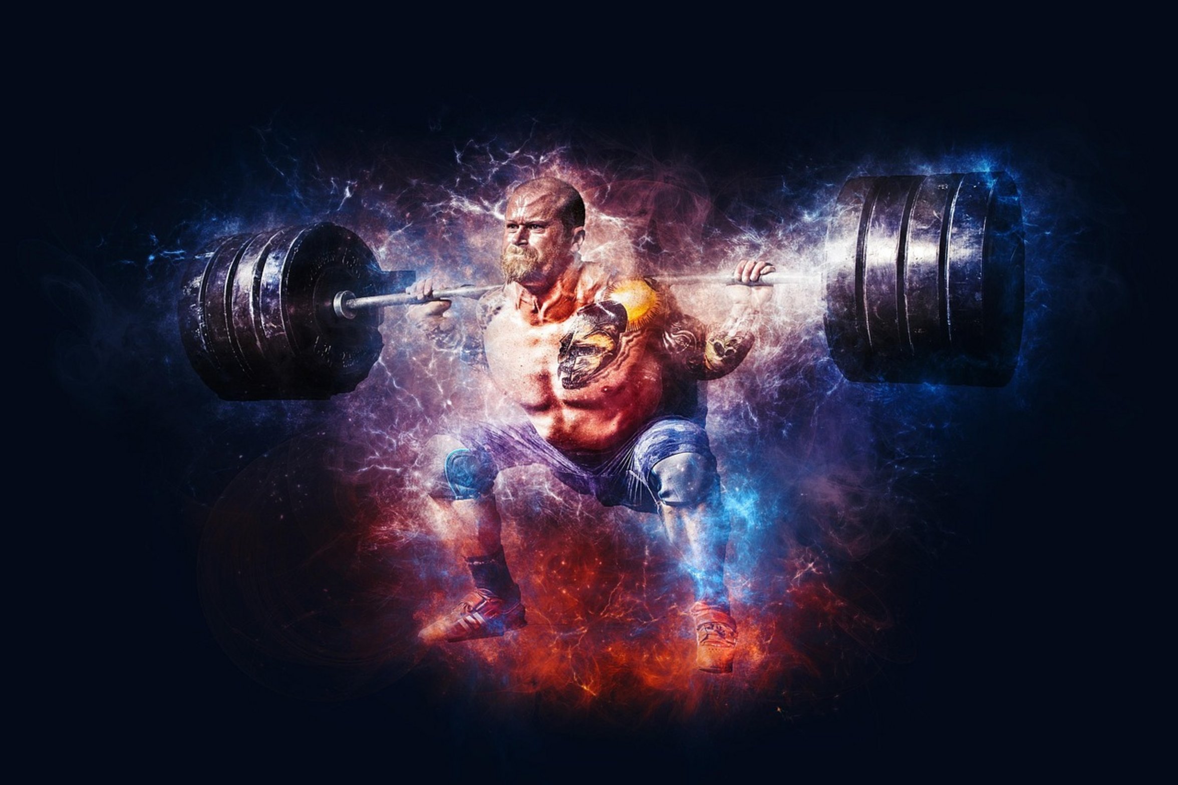 barbell squat equipment barbell squat equipment