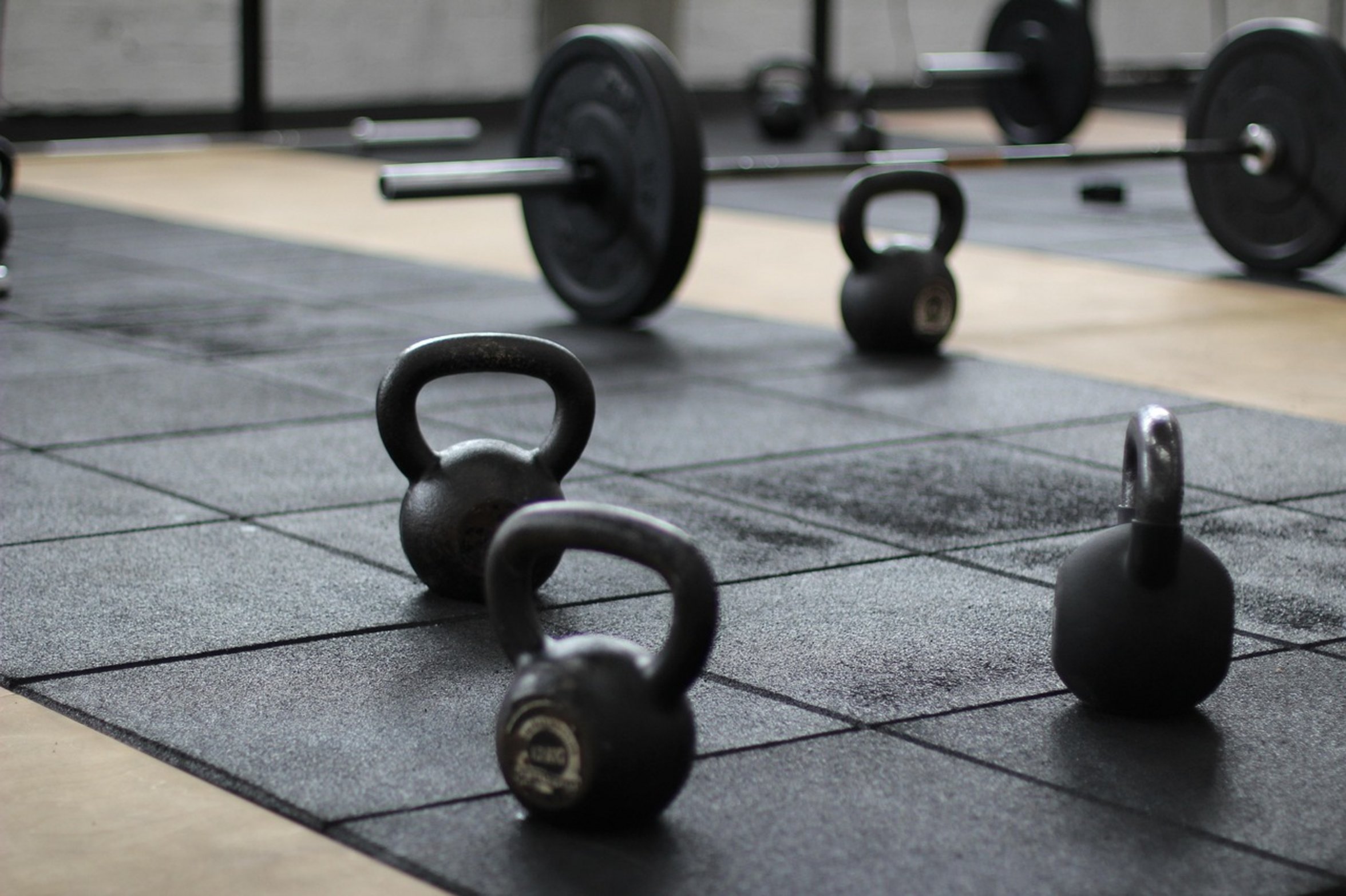 basic gym equipment basic gym equipment