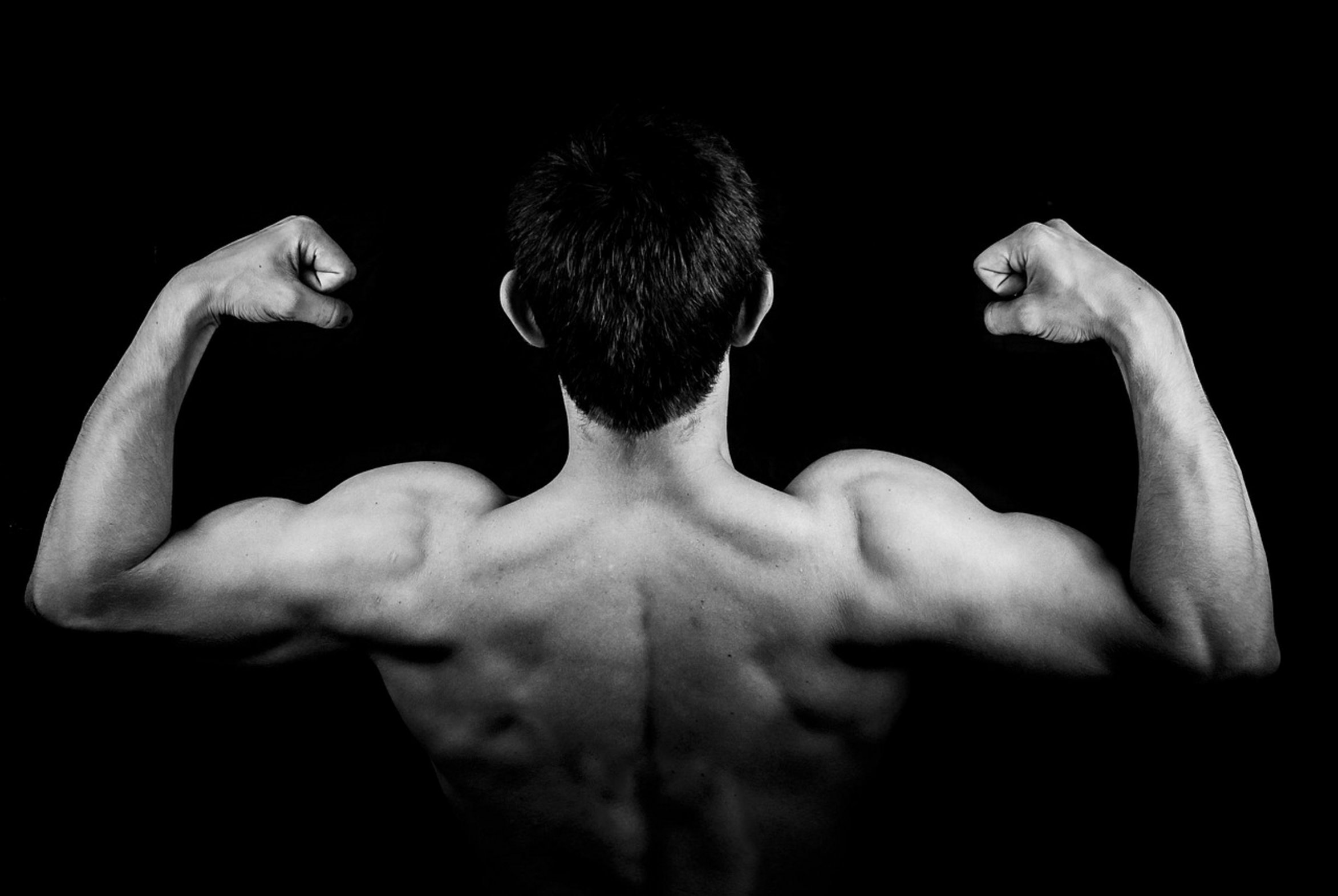 bodybuilder back physique bodybuilder back physique