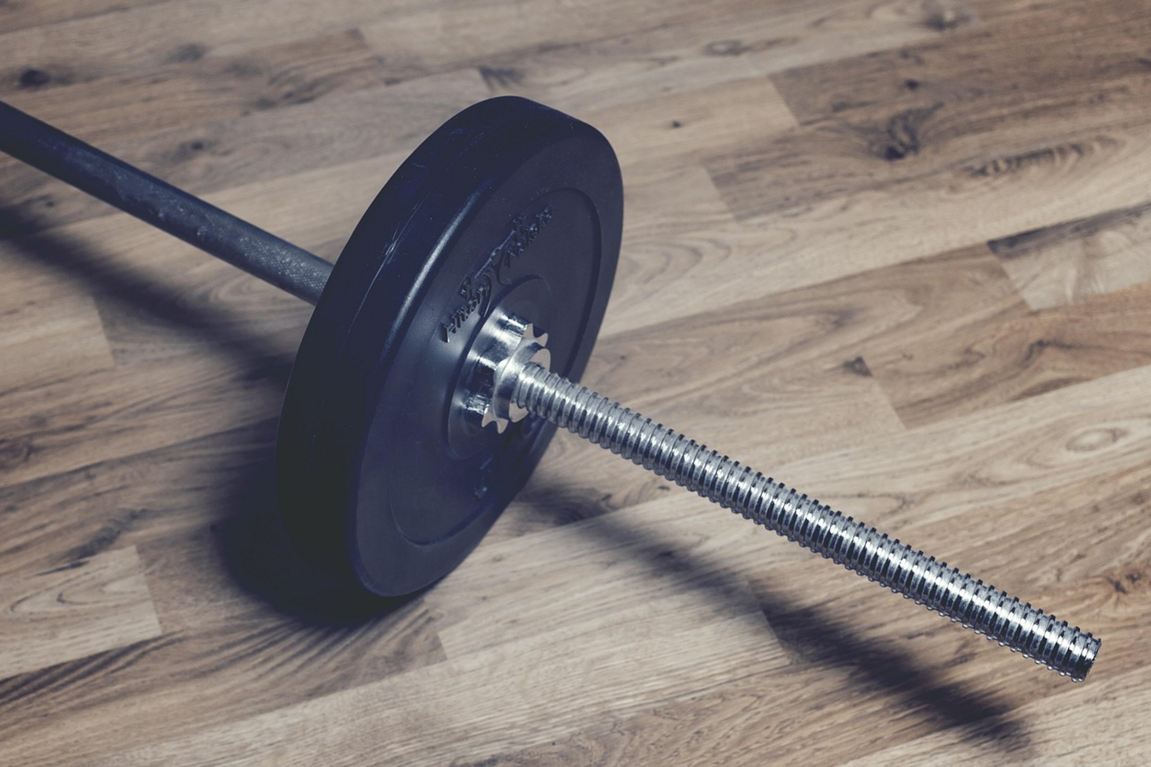 commercial gym barbell commercial gym barbell