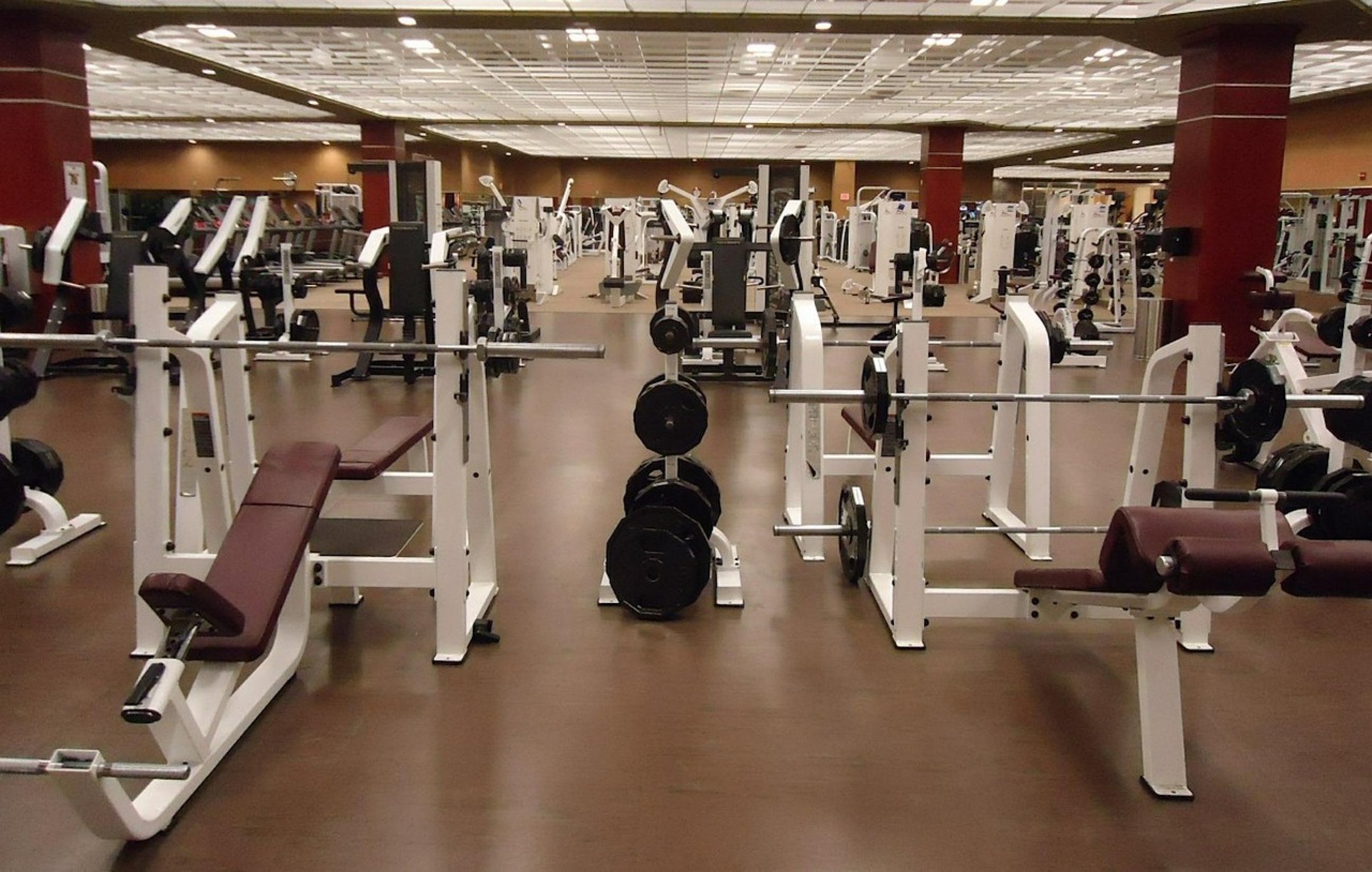 gym barbell rack gym barbell rack