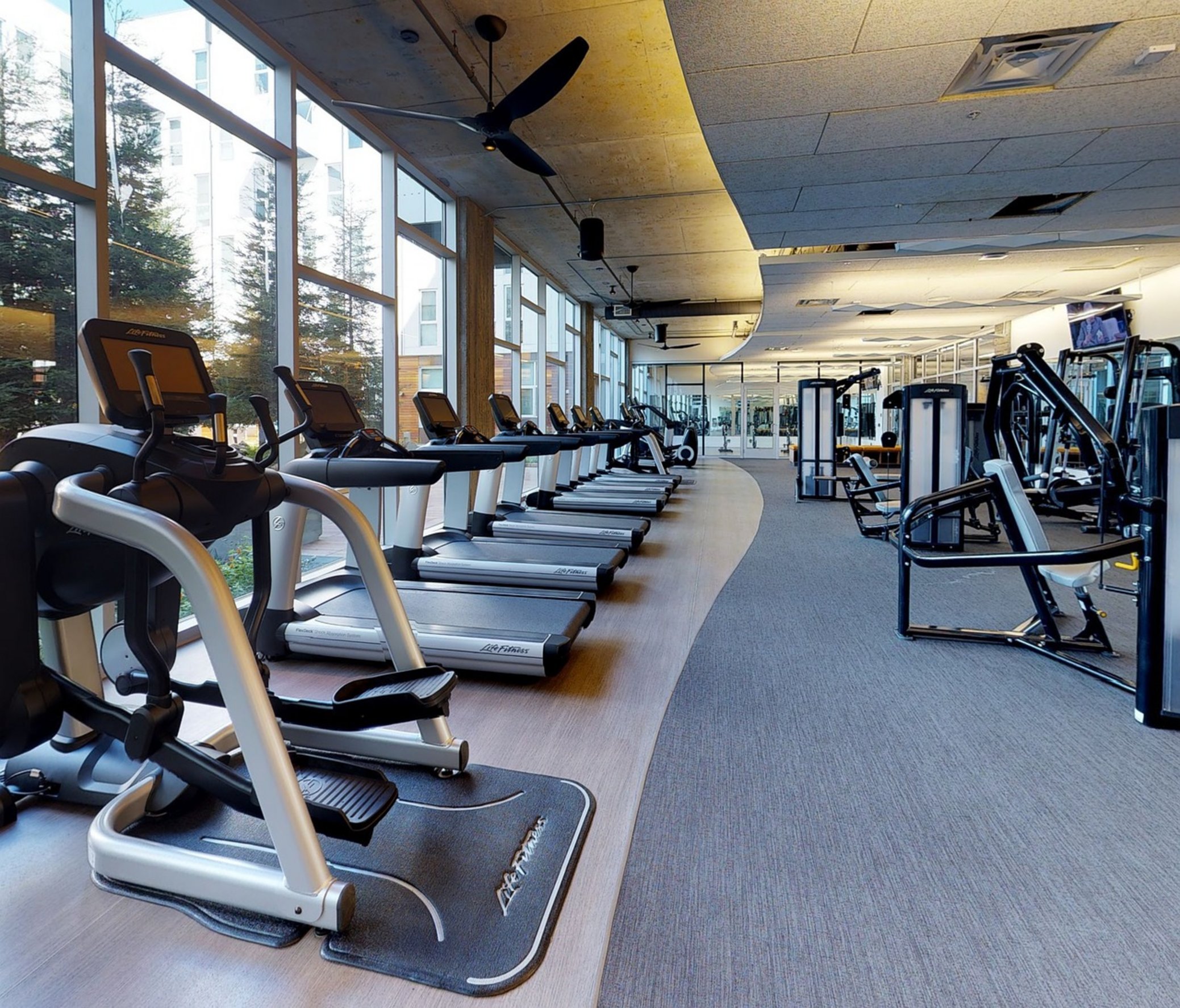 gym elliptical machine gym elliptical machine