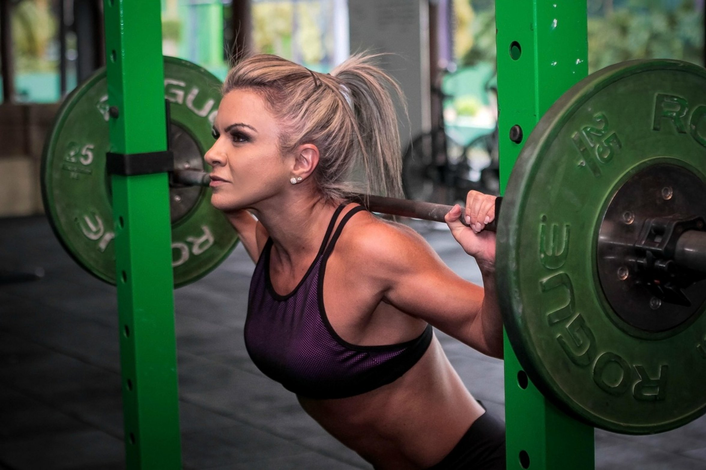 gym squat rack barbell gym squat rack barbell