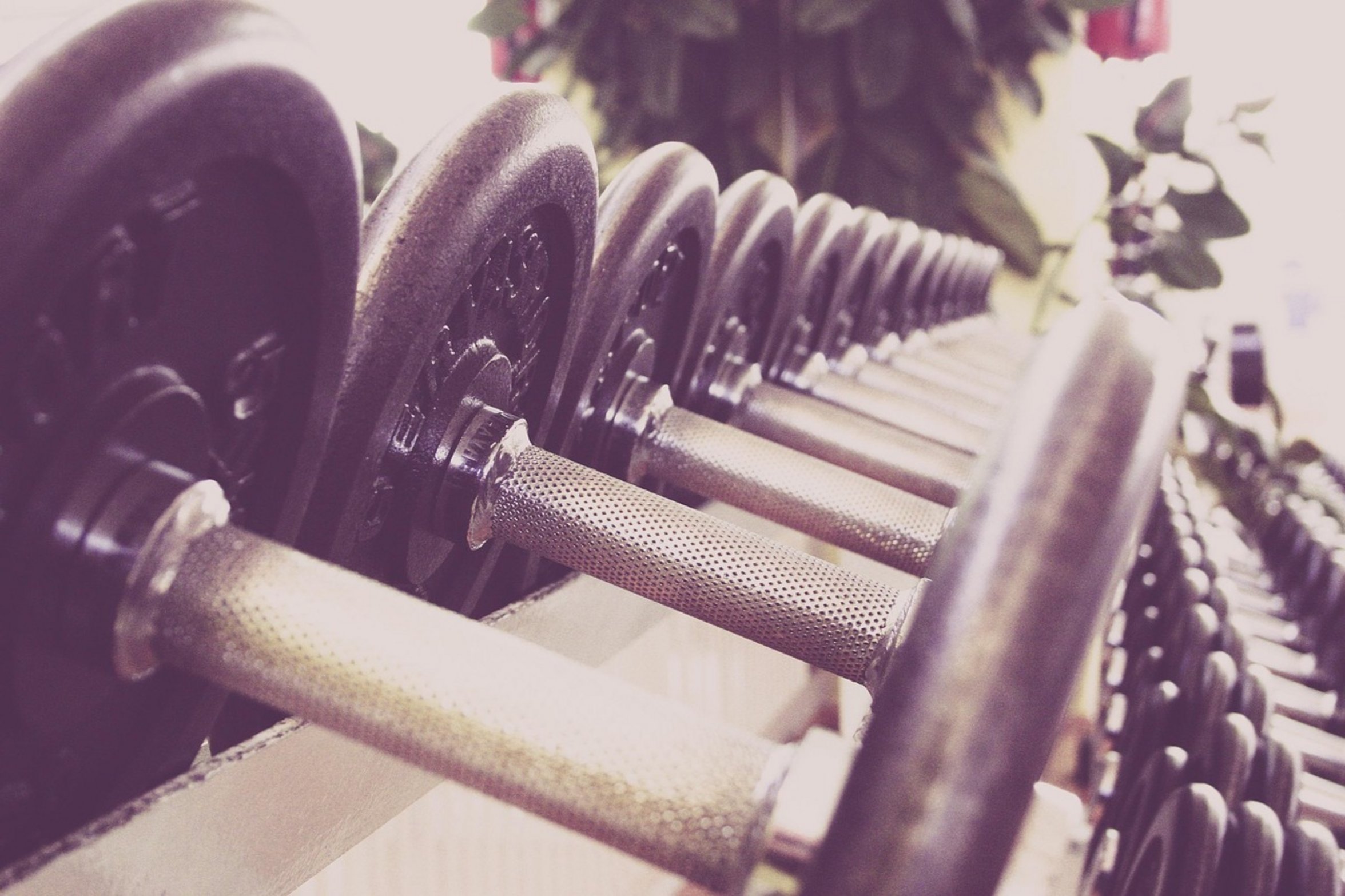 home gym equipment home gym equipment