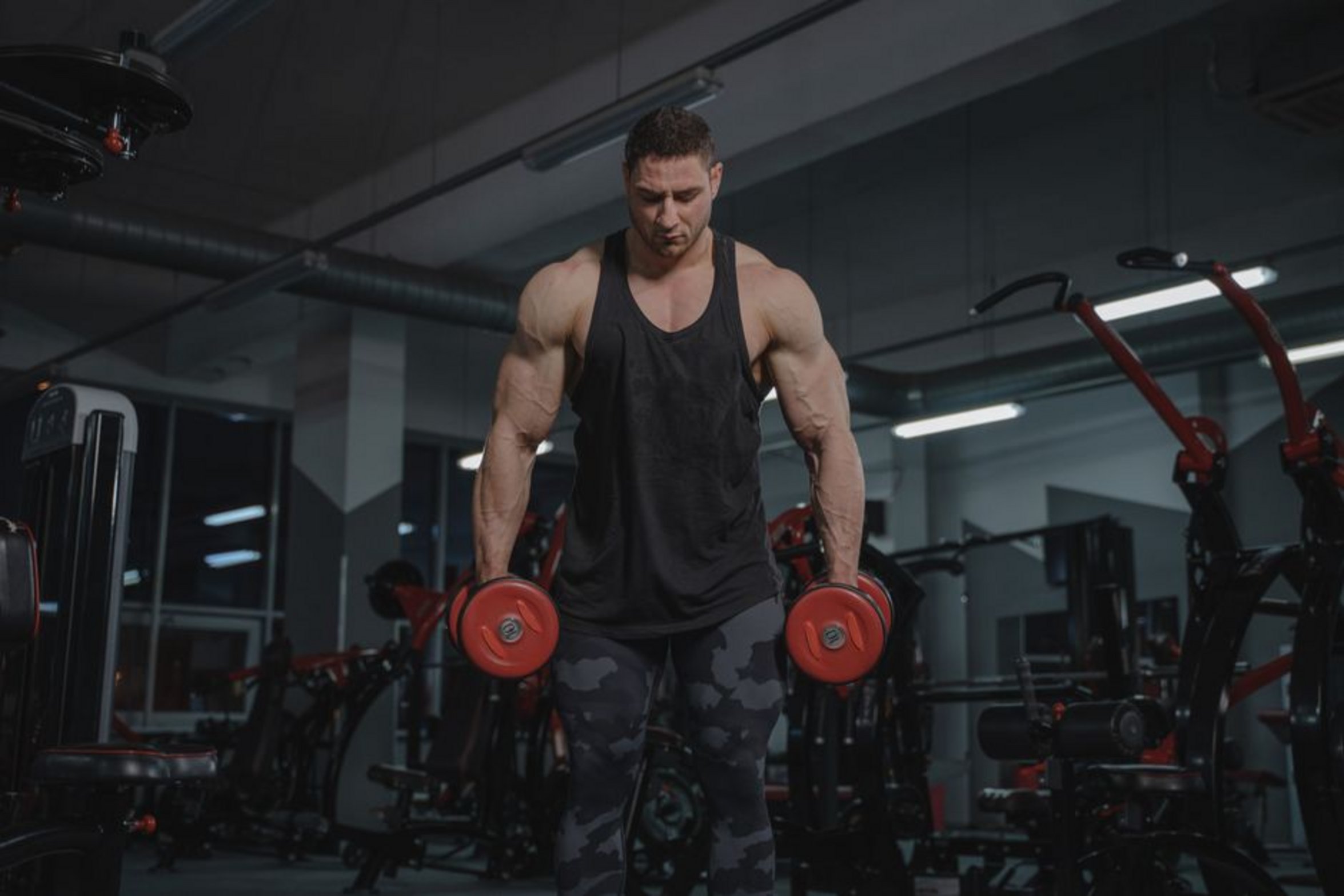 person curling dumbbells person curling dumbbells
