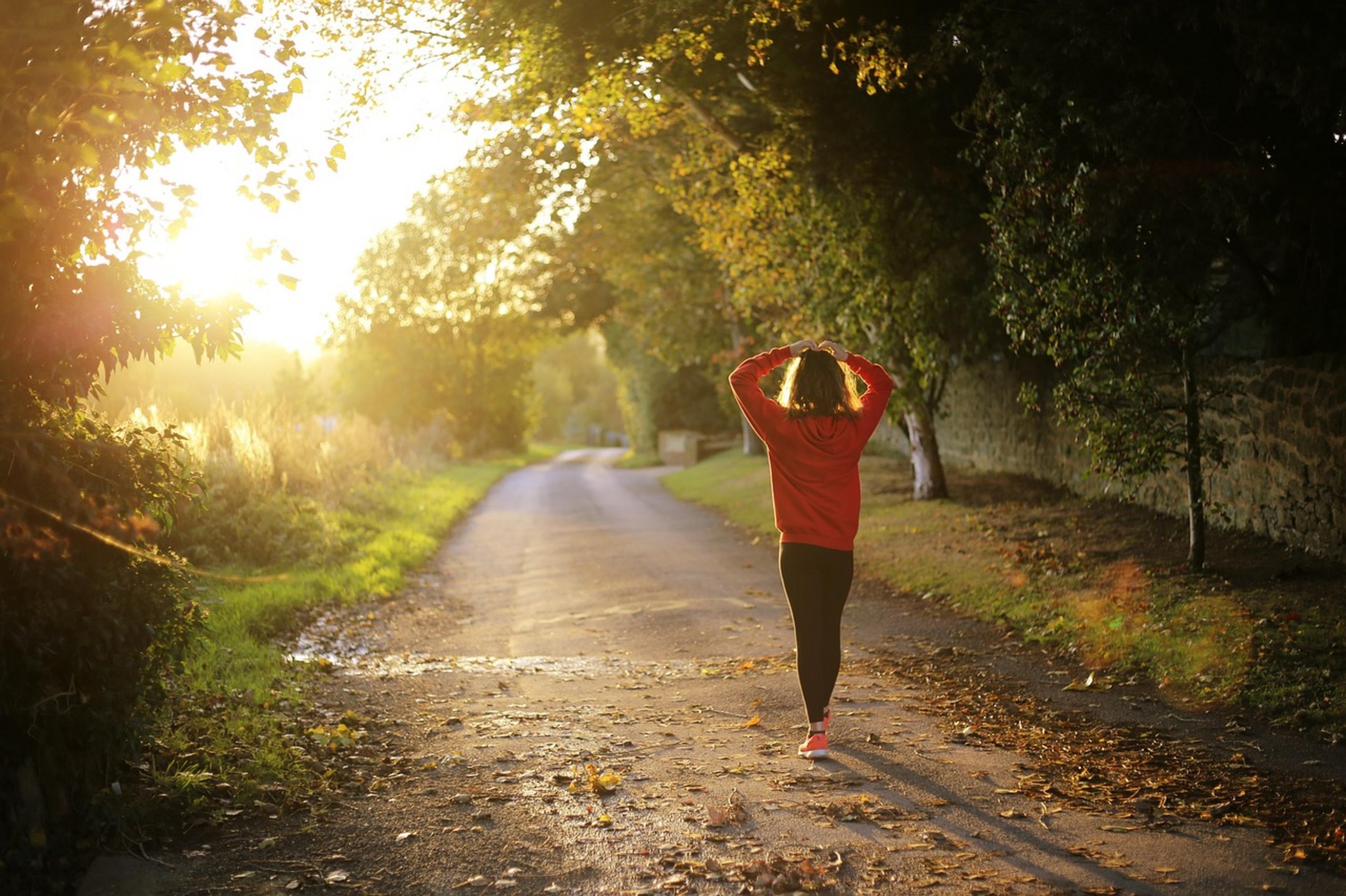 person deciding fitness plan person deciding fitness plan