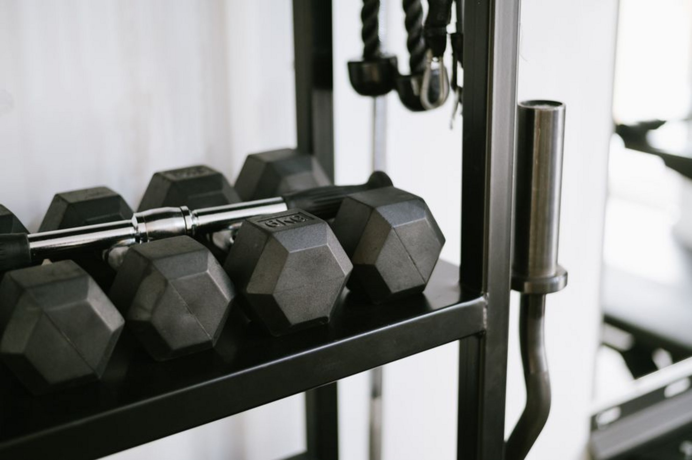 unused gym equipment unused gym equipment